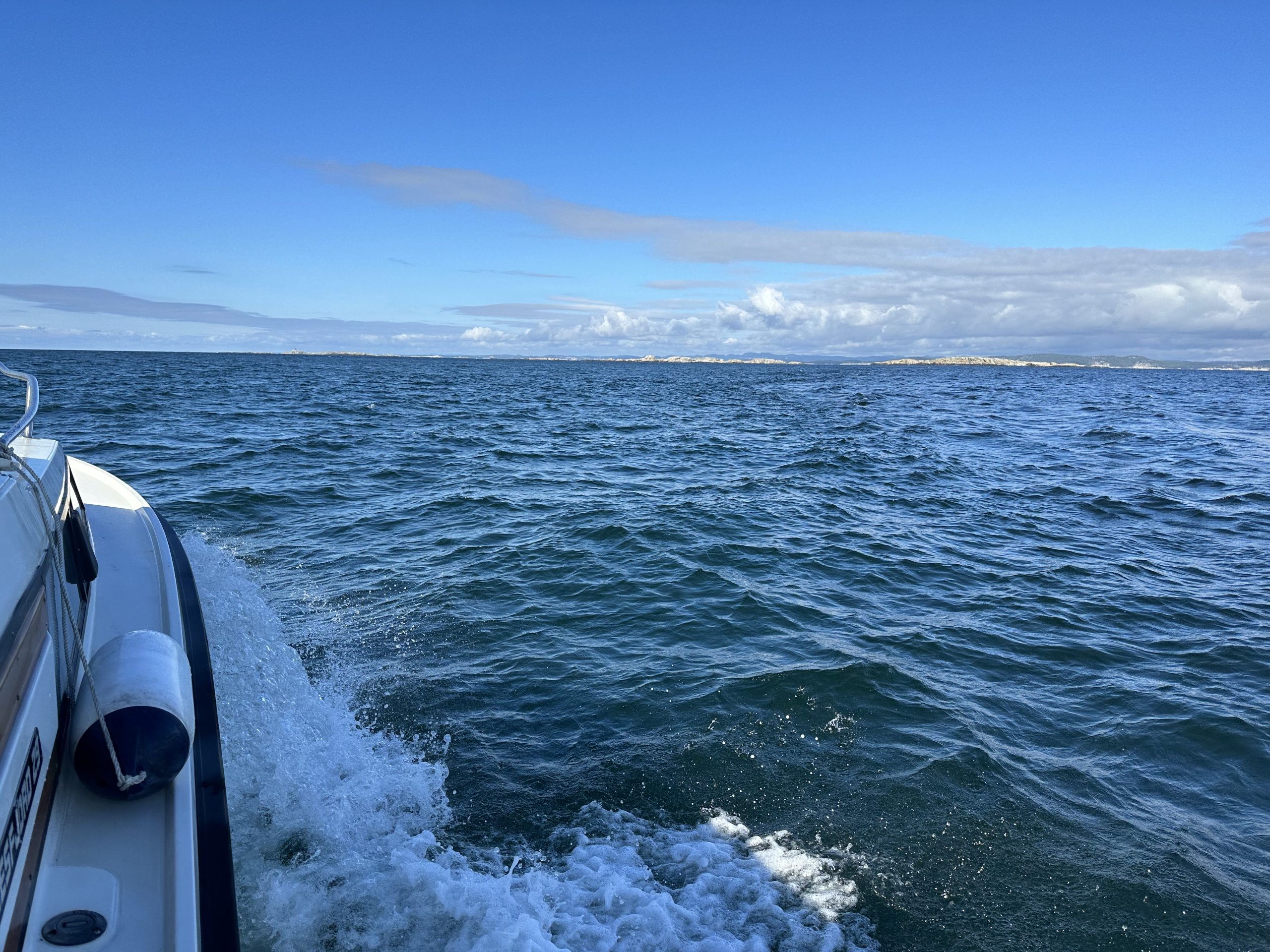 53578102657_6dd8946f55_o